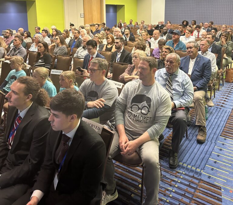 Photo of the audience watching the pitch competition